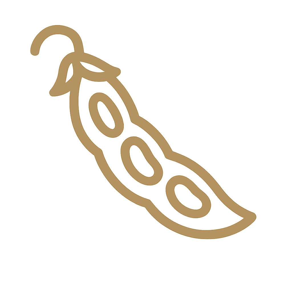 ChatGPT Image 3 sept 2025, 10_09_07